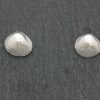Cockle shell Stud Earrings - Image 2