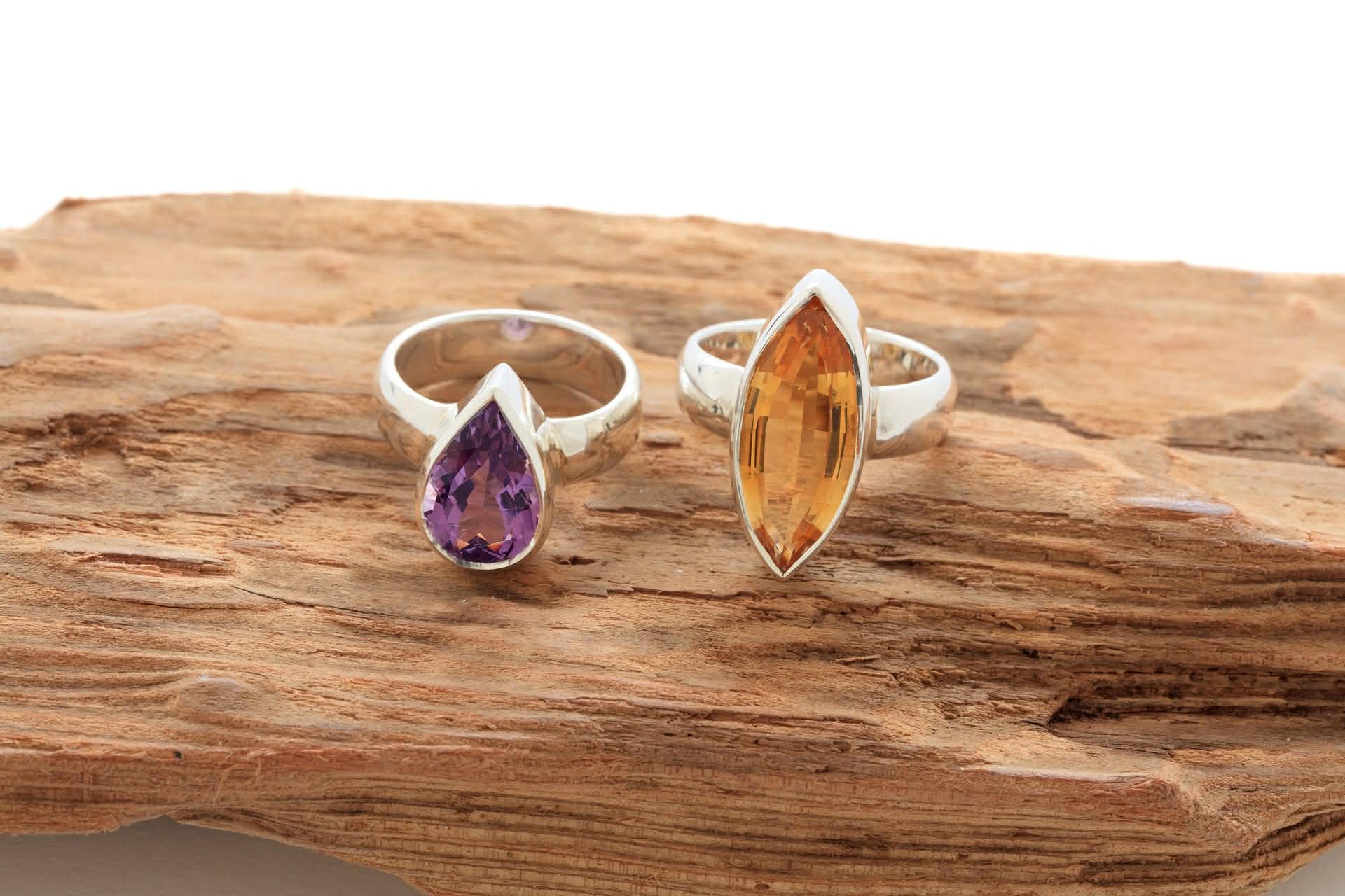 From the Bench – March Newsletter